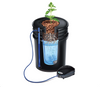 Alfred DWC (Deep Water Culture) 1-Plant System. An interior look at what the system looks like. A plant is growing out of the grow media, in a mesh pot submerged in water receiving nutrients and air, on the outside you see an air pump. 
