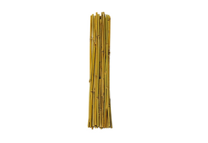 Mondi Bamboo Stakes conveniently come in 3’, 4’, 5' and 6' lengths for staking delicate or heavy plants in your garden. These are all-natural bamboo stakes with no artificial coatings or colouring. This is an image of a bundle of bamboo stakes beige-yellow with greenish hints in colour.