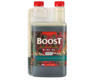 Canna Boost Accelerator is a bloom enhancer for increased productivity and flavours. This product comes in a rectangular bottle with two red lids. The label has red, yellow, and green DNA structures on it.