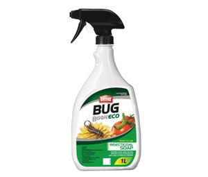Ortho Bug B Gon ECO Insecticide Soap Ready-to-Use is an effective way to end bug problems in the garden and on house plants. This product comes in a white spray bottle with a black handle, with an image of a yellow flower  and a tomato with a bug on it. 