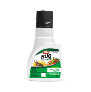 Ortho Bug B Gon ECO Insecticide Soap Ready-to-Use (500 mL) is an effective way to end bug problems in the garden and on house plants. This product comes in a white bottle with a black lid with an image of a yellow flower and a tomato with a bug on it. 