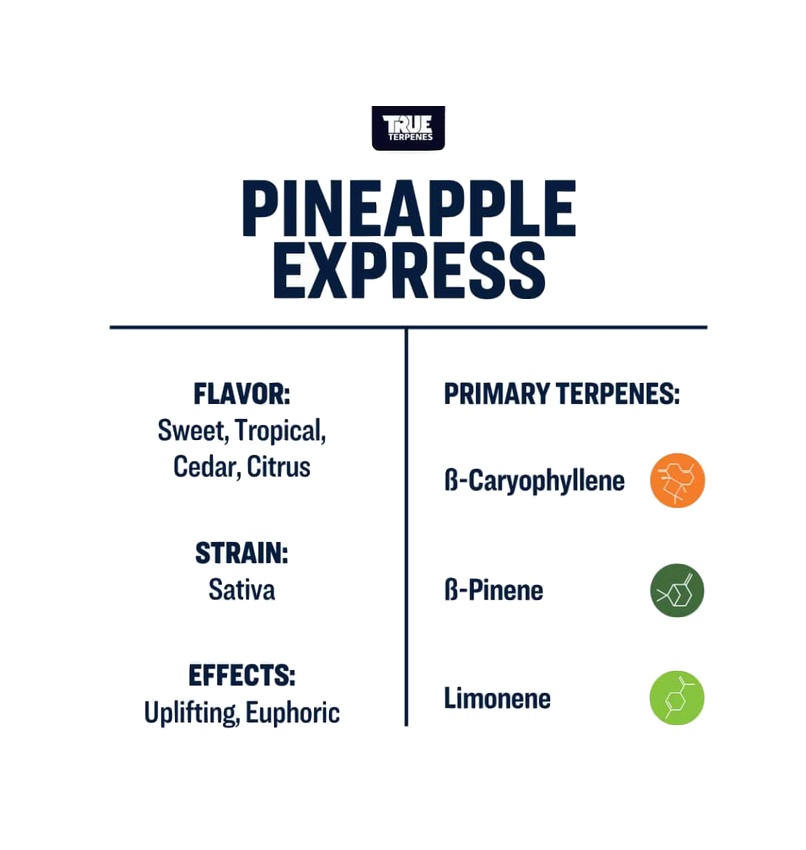 10ml】Pineapple Express／TrueTerpenesテルペン 楽天市場】＼即日発送