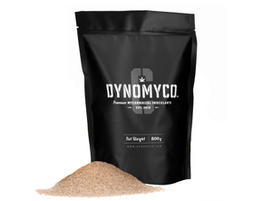 Dynomyco improves plant nutrient, mineral, and water uptake, which translates to healthier plants and higher yields! This product comes in a black resealable pouch with a white logo in the centre. The product is displaced beside the pouch, brown granular.  Edit alt text