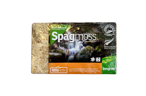 This product comes in a clear package with images of a majestic waterfall. The moss is hay-like in colour.