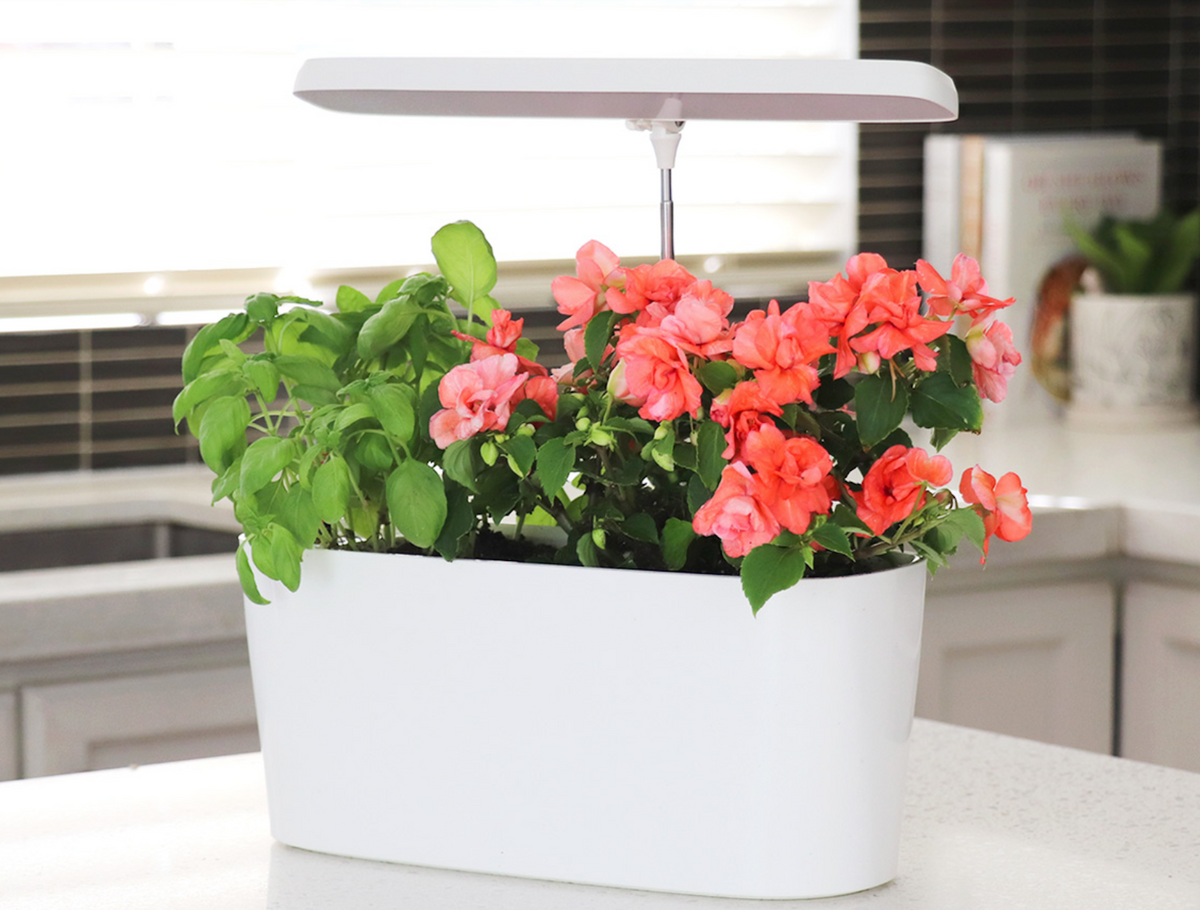 Shadow Grow Machine SunBlaster Nano Grow Light Garden – HYDROTECH HYDROPONICS