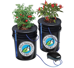 Alfred DWC (Deep Water Culture) 2-Plant System. Shown with  2 buckets , air hoses, pump with double outlets, grow media and an example of peppers and tomatoes growing. 