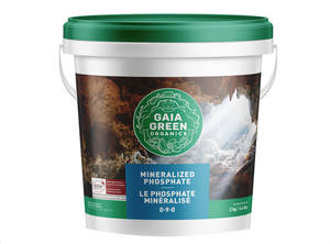 Gaia Green Mineralized Phosphate (0-13-1) is harvested from caves in the Philippines and has a potent phosphorus rating of 13%. Mineralized Phosphate has been known since ancient times to be a highly beneficial soil amendment. This product comes in a white tub with a green lid with an image of rockets and water and the gaia green logo.