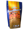 General Hydroponics 2-45-28 KoolBloom 1kg is a dry, concentrated ripening formula designed to promote intense and abundant flowering. It enhances the production of robust blooms as well as essential oils and fragrance in many flowers and medicinal herbs. This product comes in a blue and yellow pouch with a close up of a yellow and orange flower. 