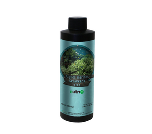 Nutri+ Seaweed (250 ml) marine algae, rich in natural hormones and trace elements, are used in agriculture for the last decades for: Roots growth, Formation of shoots and branches and Production of chlorophyll. This product comes in a balck cylindrical bottle, black lid, a metallic greenish label, with an image of underwater seaweed.