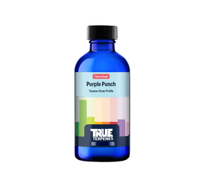 True Terpenes Purple Punch Infused is a rare variety created by crossing the old school Larry OG with the famous Granddaddy Purple. This product comes in a blue bottle. The label has various coloured rectangles on it.