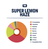 True Terpenes Super Lemon Haze terpenes contain B-caryophyllene, Terpinolene, Humulene, Ocimene, Myrcene, Limonene, Linalool, a-pinene, B-pinene and Caryophyllene Oxide.